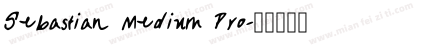Sebastian Medium Pro字体转换
